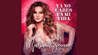 Ya No Cabes en Mi Vida