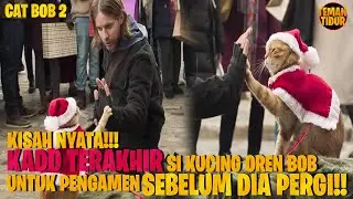 SEBELUM BOB MENINGGAL DIA MENINGGALKAN KADO TERAKHIR!! - Alur Cerita 