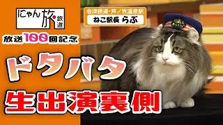 スタジオも見回り♪らぶ駅長・ゴジてれ生出演の裏側【にゃん旅鉄道スピンオフ】