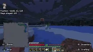 Playing Minecraft 87