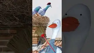 LA REGIA e GLI OSPITI....