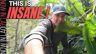 We Found a Munitions Cave that Supplied the Ho Chi Minh Trail During SECRET WAR |  Back Roads E12