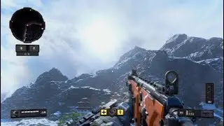 more bo4 paint jobs