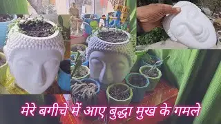 Buddha Face Statue pot for Garden decoration is best for meditation #plz_subscribe_my_channel