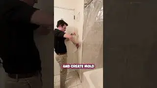 How to Prevent Shower Curtain Mold! 🚿