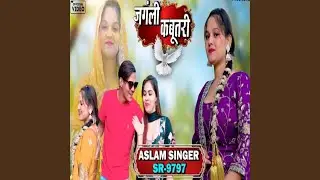 ASLAM SINGER SR 9797
