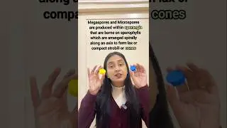 Strobili/Cones of Gymnosperms | Plant Kingdom #shorts #ytshorts #study #class11 #biology #neet