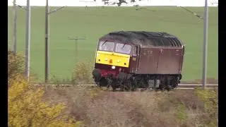 Trains on Gamston Bank, the usual and the unusual.
