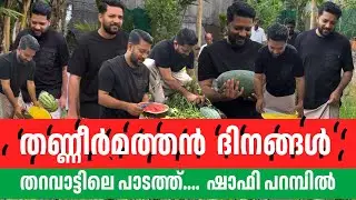 തണ്ണീർമത്തൻ ദിനങ്ങൾ ; ഷാഫി പറമ്പിൽ എം.പി തറവാട്ടിലെ പാടത്ത്