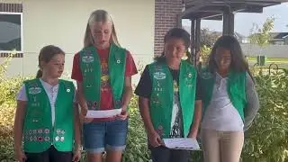 Bronze Award Project - Pollinators
