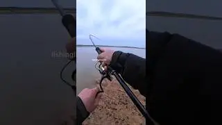 THE SOUND OF A FISHING REEL WHEN PULLED BY A BIG FISH || CASTING FISHING #fishing #angler #bigfish