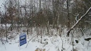Real estate for sale in North Branch Twp. MI - MLS# 216012986