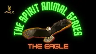 THE SPIRIT ANIMAL SERIES - THE EAGLE