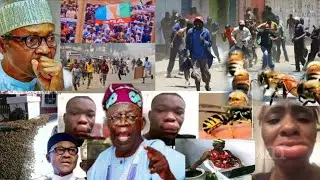Breaking News! Myster1ous Obedient Bees Chase APC Supporters, D1srupt APC Rally in kogi