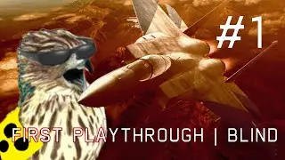 IT'S TIME | BLIND | #1 | First Playthrough Ace Combat Zero | ENG