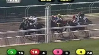 2009 Woody Stephens Stakes