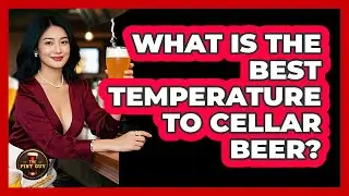 What Is The Best Temperature To Cellar Beer?