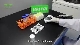 Ochratoxin Test - Detection of Ochratoxin in Pig feed - BALLYA