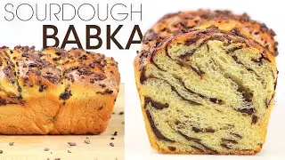 Most Amazing Chocolate Sourdough Babka Recipe: Chocolate Brioche Bread | How To Cuisine