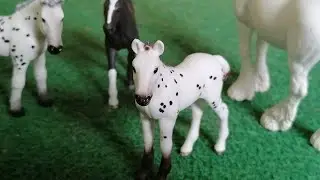 Kleine Fohlen🐎 {Schleich Kurzfilm} Happy Horse