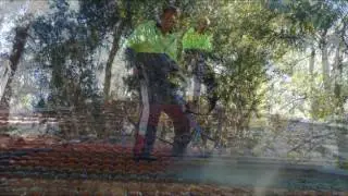 Roof Cleaning