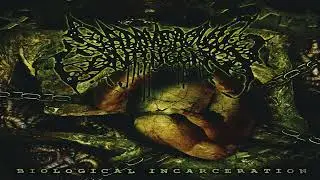 Cadaverous Contingency - Cataclysmic Dormancy (2023)