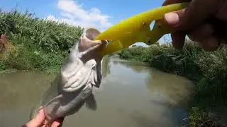 דיג בירדן עם אסף יום מיוחד, אסף לאחר שיקום חוזר לדוג.