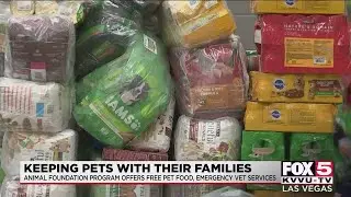 Animal Foundation program aims to keep pets with their families, offers free resources