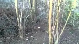 Geocache spoiler!  Neat little geocache!
