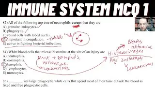 Immune and Lymphatic System MCQ's Problem Set Part 1