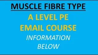 A Level PE: Types Of Muscle Fibre
