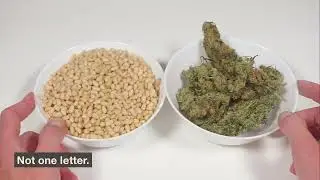 South Dakotas Medical Cannabis Program Is a Profit