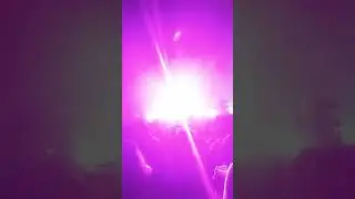 🌴Bionic Jungle 🌴☘️🌿🌱☘️Never Alone Remix 🌴 EDC🇲🇽23. Sean Doron.☘️