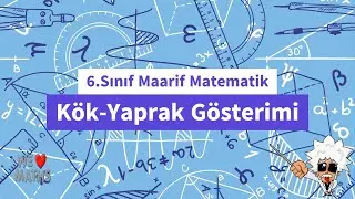 6.Sınıf Maarif Matematik Kök-Yaprak Gösterimindeki Verileri Yorumlama ve Çıkarım Yapabilme