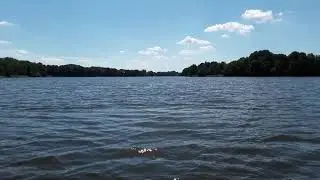 Vielitzsee Juni 2020