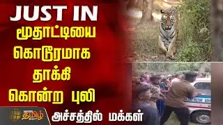 மூதாட்டியை கொடூரமாக தாக்கி கொன்ற புலி - அச்சத்தில் மக்கள் | NilgirisTigerAttack