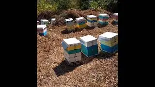 Поездка в горы Pilio, Tsagarada, Kissos, Ag.Ioannis (Greece)