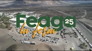 SPOT   FEAGA 2025