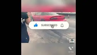 Bandido rooster race