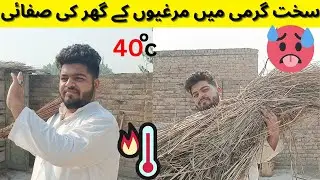 Chicken Setup Cleaning During Hot Weather || Hens Care in Summer Season #petsvlog