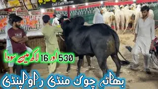 Bhatta chowk mandi Rawalpindi 2025 latest update - jaffar mandi - Jamil tv -