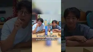 Ryan Plays Guess the Item: THE LYING CHALLENGE!