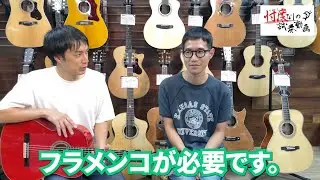 【フルバージョン】最強！ポピュラーに使えるフラメンコギター！スペインブランドESTEVE（エステべ）ジプシーキングスモデル【忖度なしの試奏動画】【大阪店】