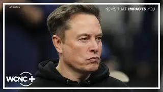 Elon Musk group offers voters $100 to sign petition against 'activist' judges