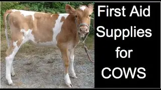 Cows - First Aid Supplies