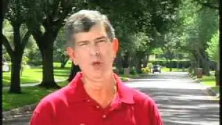Why Save or Replace Trees After a Hurricane