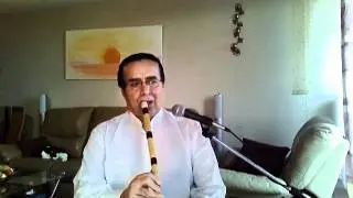 persian ney-segah