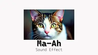 Ma-Ah Sound Effect | 'come here' in cat language |  Call Cats Sound
