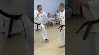 Кёкусинкай / Шихан Алексей Горохов / УТС Мурманск (6.12.25) #89