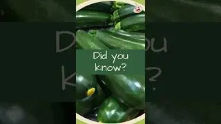 The Benefits of #Zucchini
